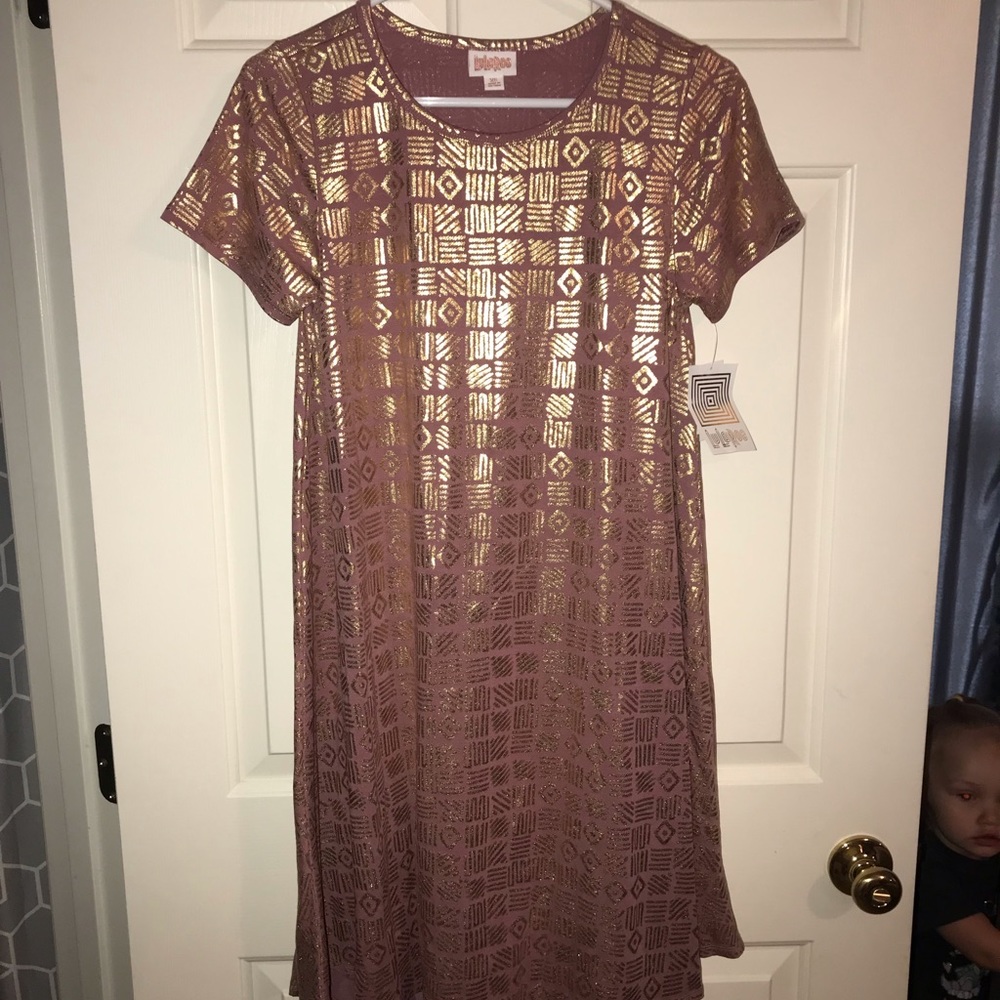 Lularoe elegent collection Carly size xs